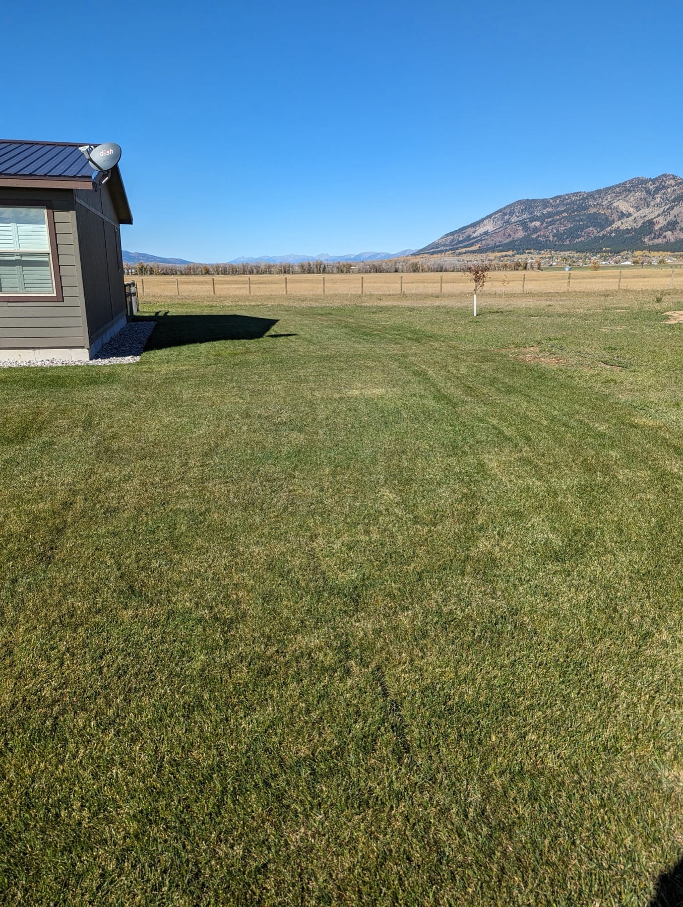 Complete Site Transformation - Image 5