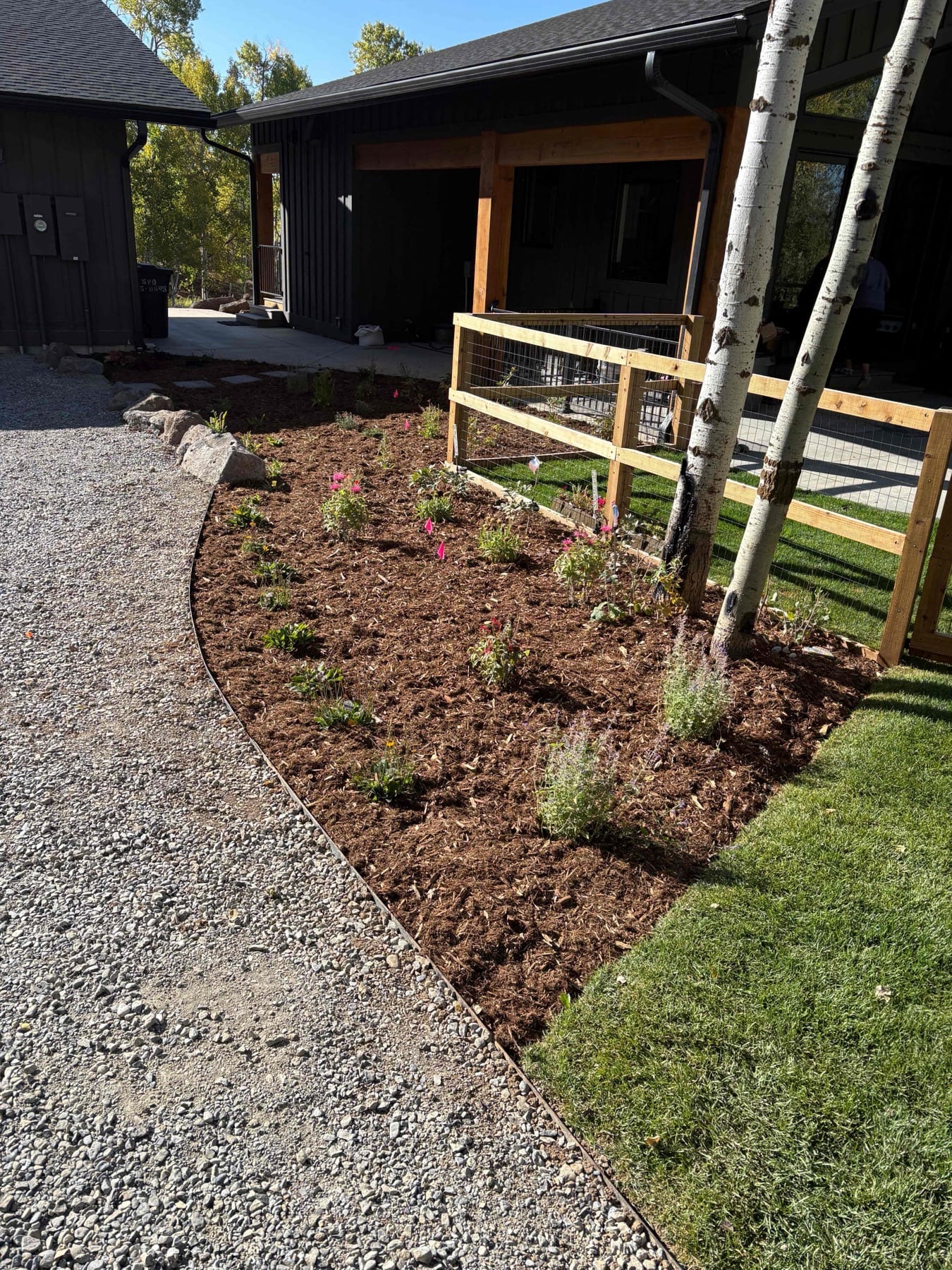 Residential Landscaping Transformation - Image 3