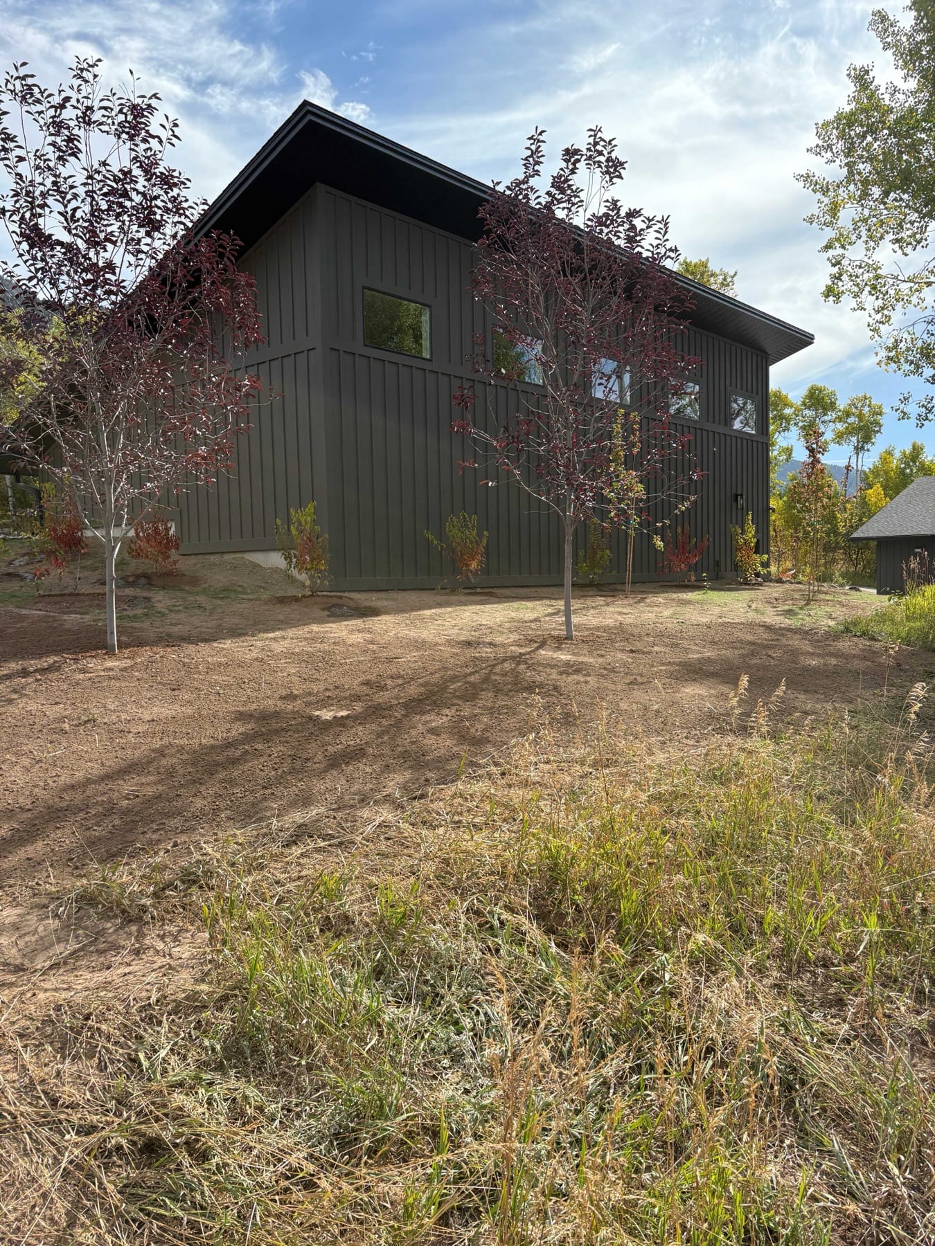 Residential Landscaping Transformation - Image 1