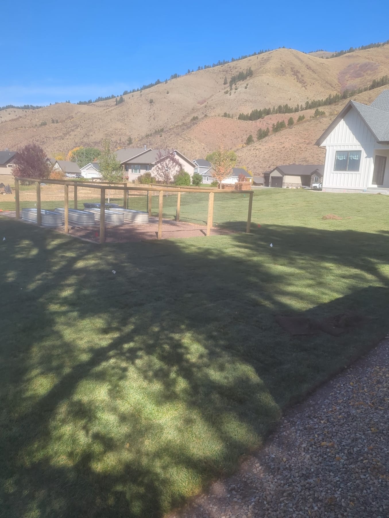 Complete Sod Installation & Yard Development - Image 3