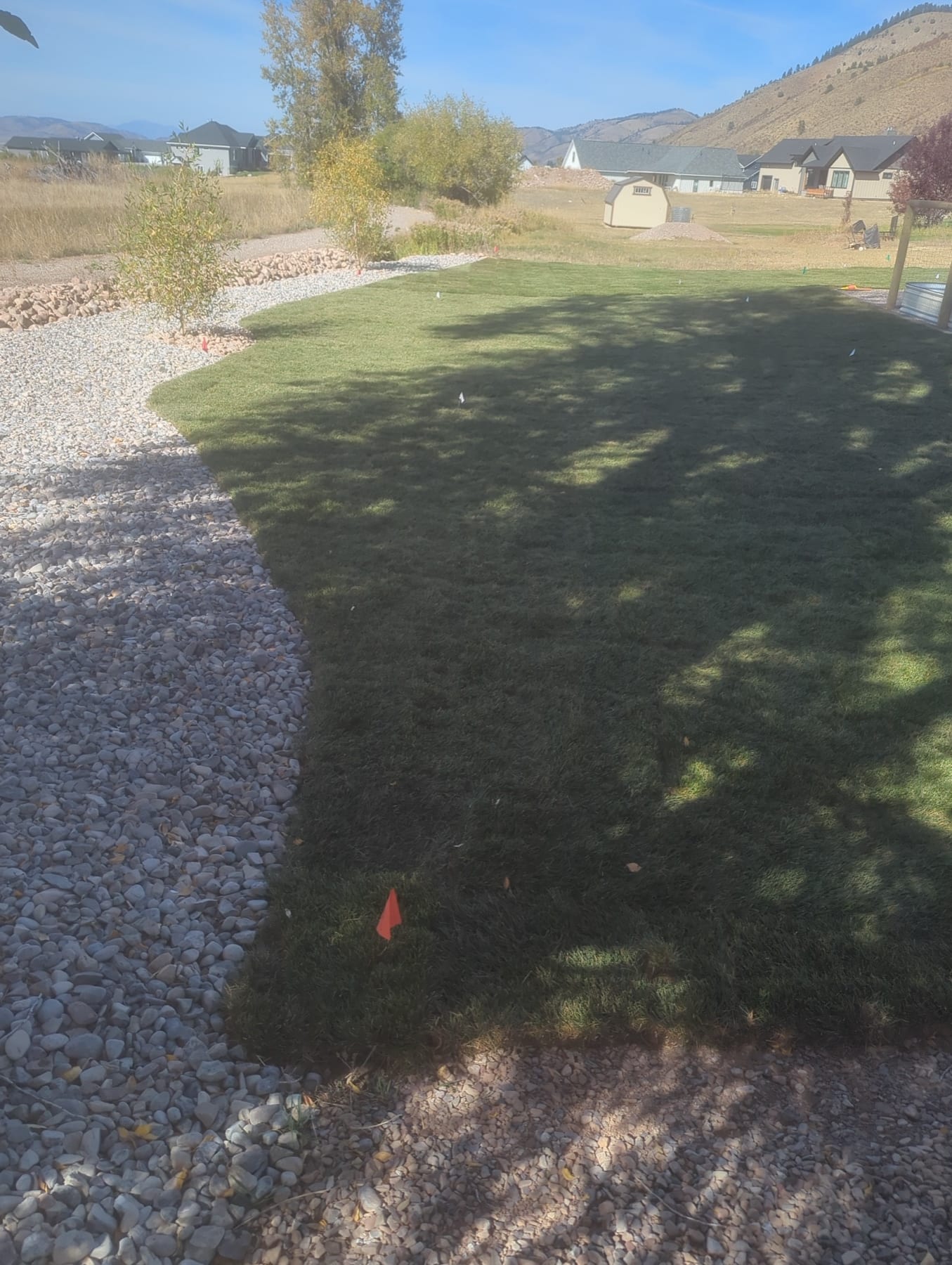 Complete Sod Installation & Yard Development - Image 2