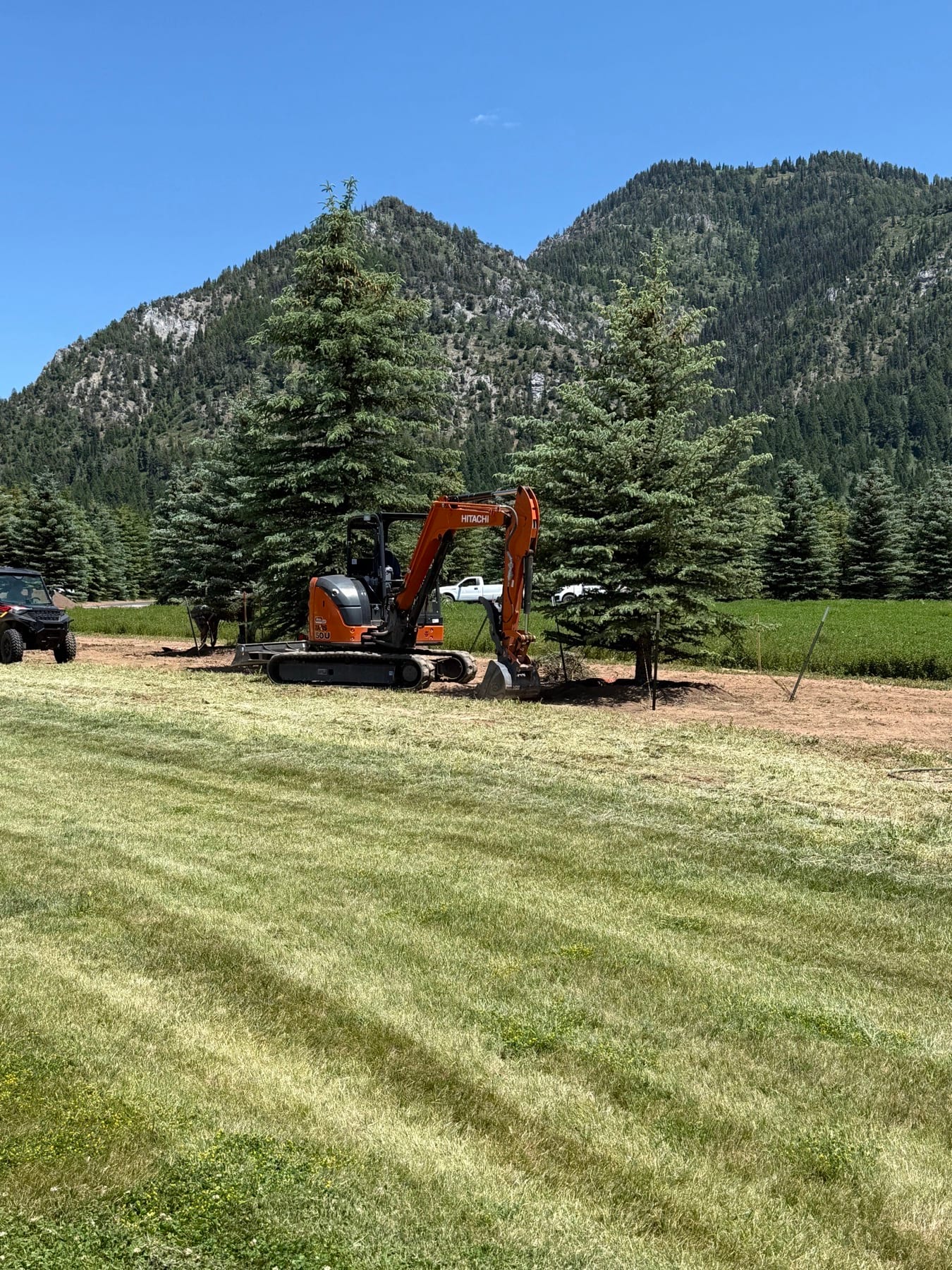 Excavator setting mature evergreen trees against the Wyoming mountains